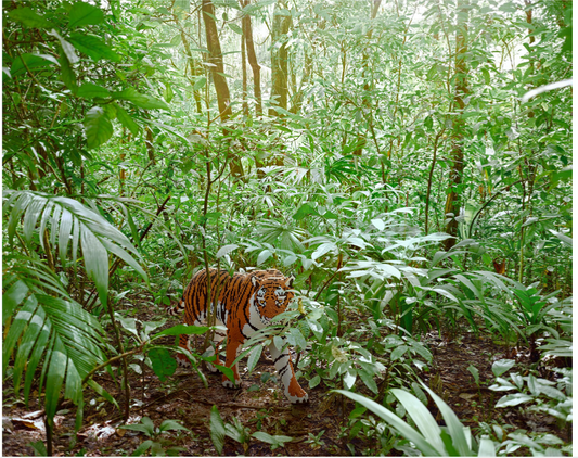 Malayan Tiger (PERNICIEM)-Dean West + Nathan Sawaya